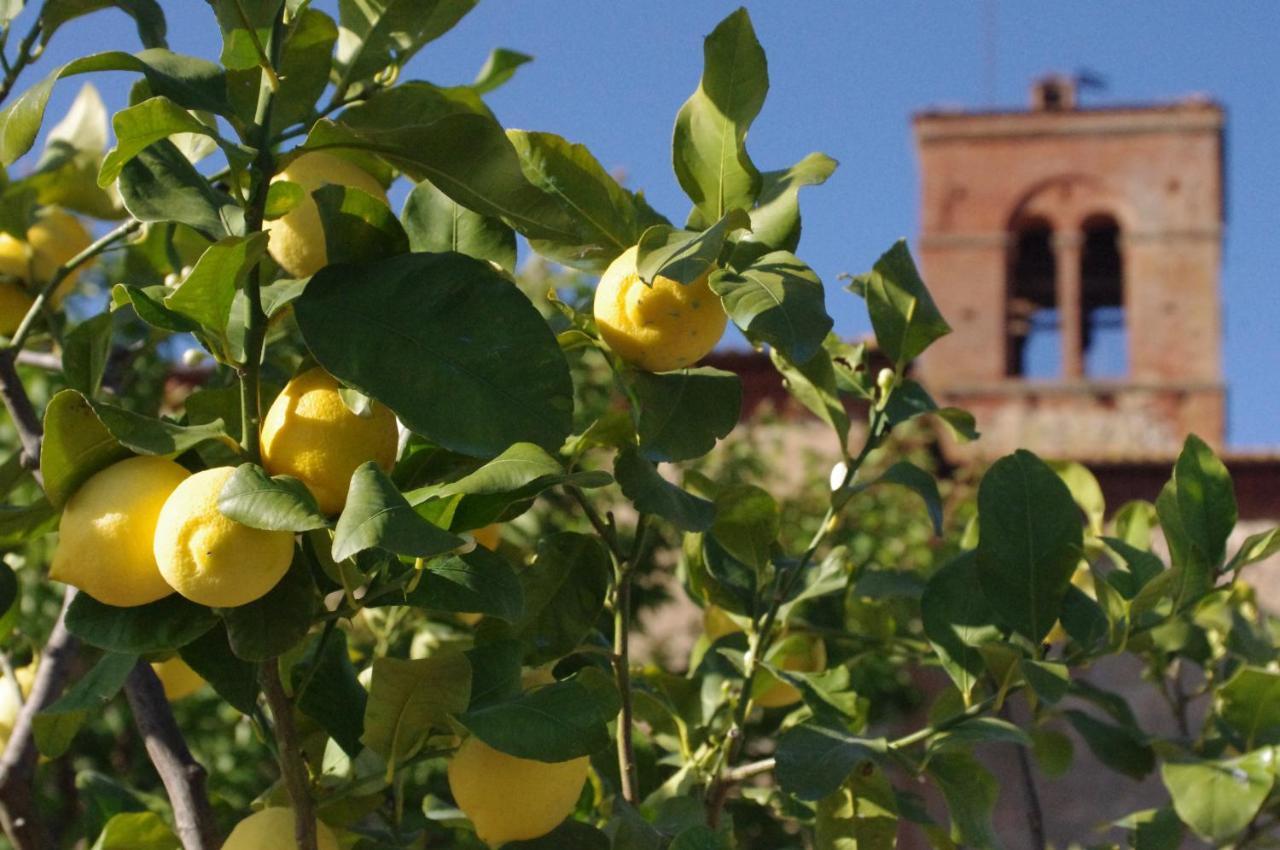 Monastero Sant'Anna In Camprena Vila Pienza Exterior foto
